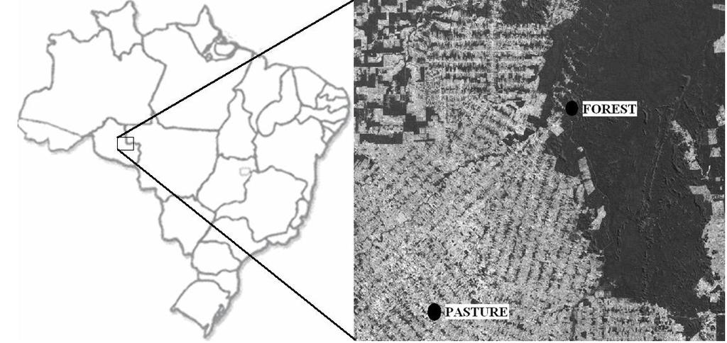 Revista Brasileira de Geografia Física v6, n5 (2013) 1023-1036 micrometeorológicas instaladas nos dois ecossistemas 2 Material e Métodos 21 Área de estudo e coleta de dados O estudo foi conduzido no
