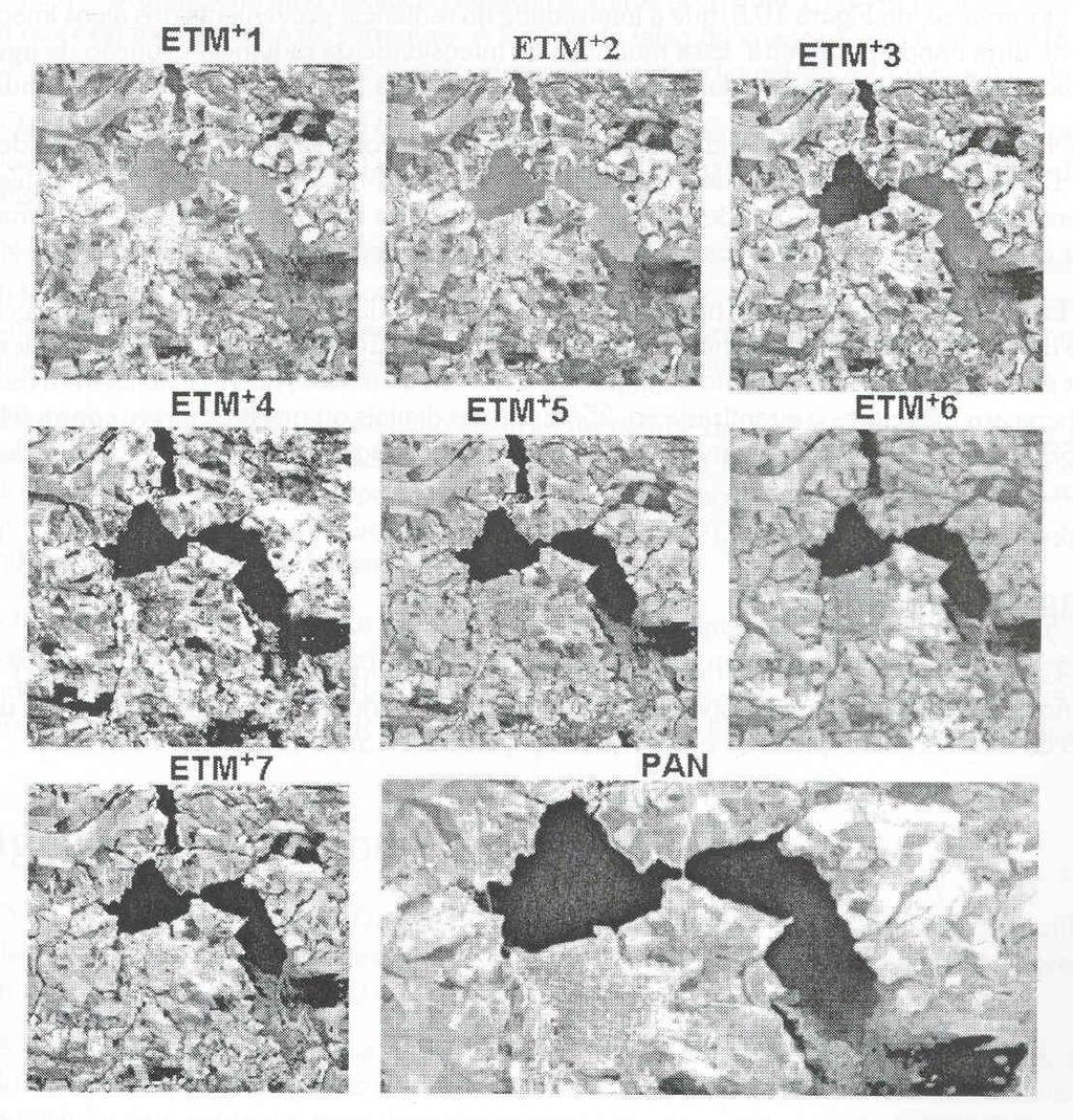 Figura 16 Imagens Multiespectrais do Landsat TM+ características: diversidade de