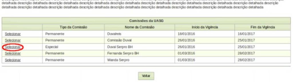 O sistema exibirá a relação das Comissões cadastradas na UASG, informando o