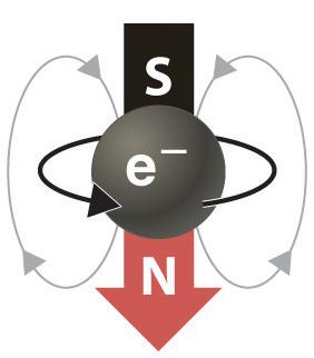 O spin é a contribuição mais importante para a maioria dos imãs. A maior parte dos átomos possuem tanto elétrons rotacionando para um lado, como para o outro lado.