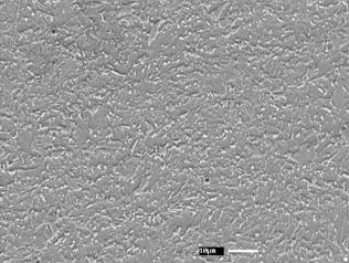 113 Figura 4.4.1.1 Micrografia obtida por Microscópio Eletrônico de Varredura do CPW800 envelhecido a 25ºC com tempo de 2.100.000s com aumento de 1000x A Figura 4.4.1.2, com maior aumento, permite visualiza detalhes das fases presententes.