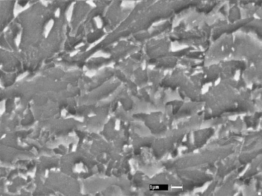 114 RA M F B Figura 4.4.1.3 Micrografia obtida por Microscópio Eletrônico de Varredura do CPW800 envelhecido a 25ºC com tempo de 2.100.000s com aumento de 5000x.