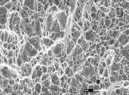 2 Micrografia obtida por Microscópio Eletrônico de