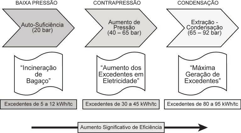 No entanto, para atingirmos os 14% de representatividade na matriz há a necessidade de que isto se torne meta de uma política setorial pública e privada, coordenando os agentes do espaço social e