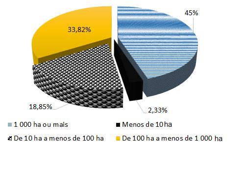 Graficamente essa distribuição pode ser visualizada da seguinte forma: Distribuição da área total dos estabelecimentos agropecuários Curiosidade!