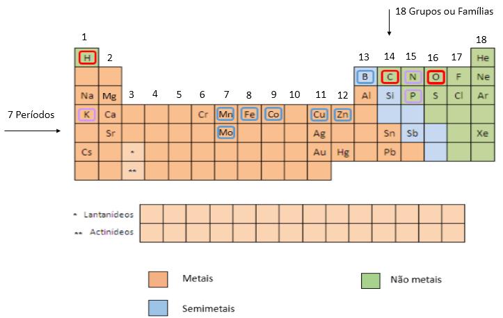 Fonte: Fundação Bradesco A organização dos elementos na Tabela Periódica A Tabela Periódica moderna contém cerca de 118 elementos e existem diversos formatos de apresentação, porém todos são