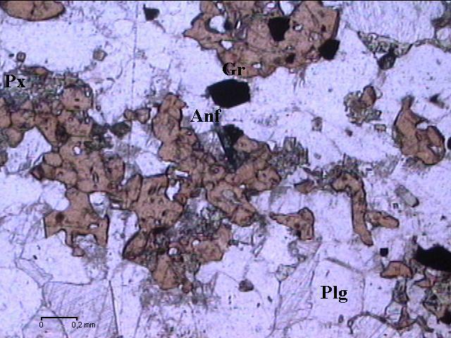 CAPÍTULO 5 - RESULTADOS 54 Foram identificados os minerais granada, piroxênio, anfibólio, plagioclásio, carbonato, epidoto, magnetita, zircão, muscovita e opacos.
