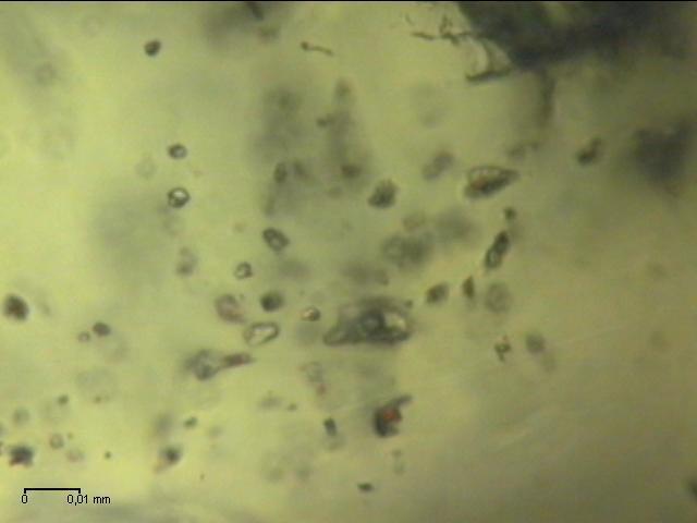 No piroxênio-albitito mineralizado, em cristais de zircão, foram encontradas inclusões fluidas secundárias (FIG. 61 e 62).