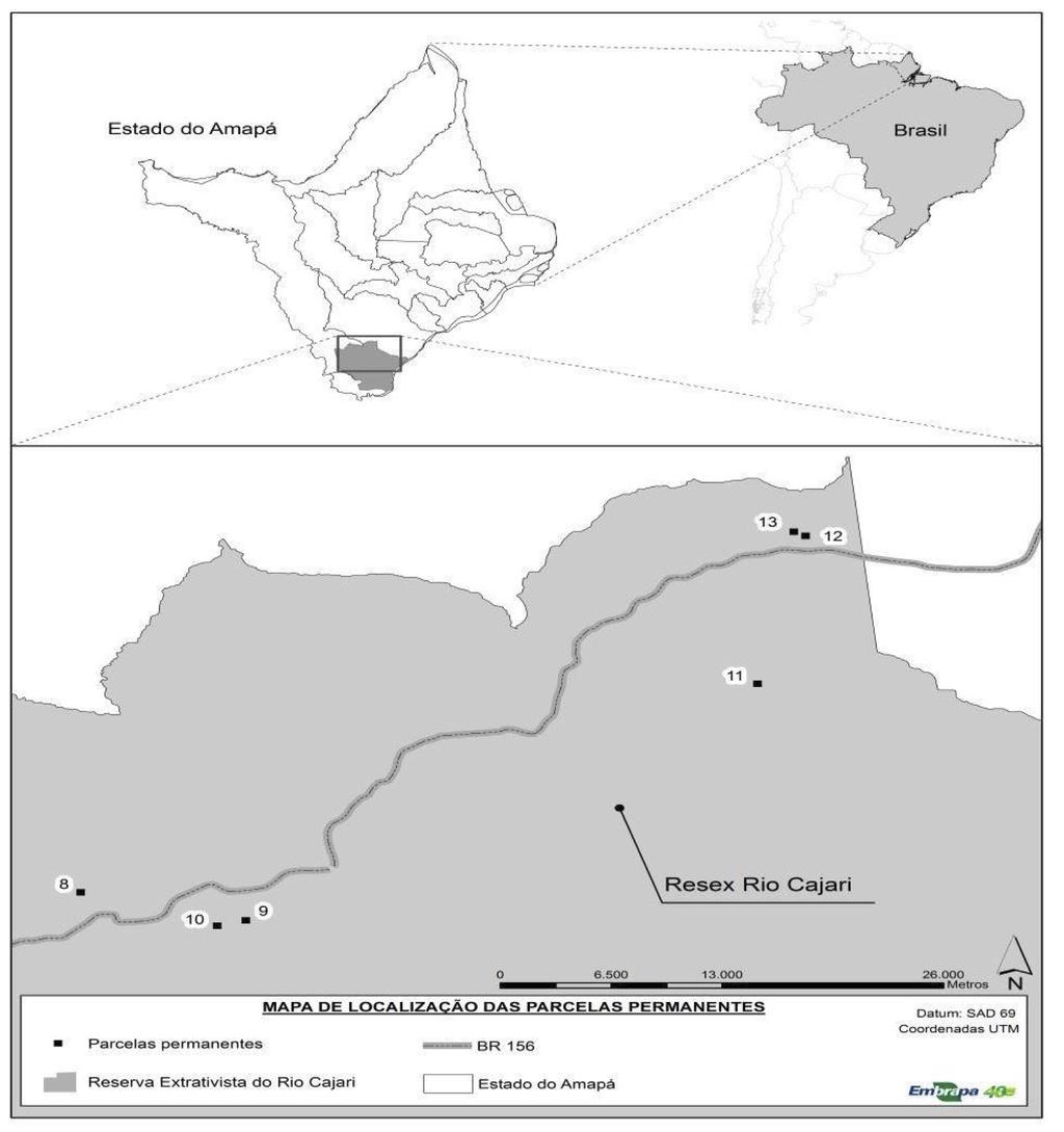 Neves et al. Estrutura populacional e potencial para o manejo de Bertholletia excelsa (Bonpl.