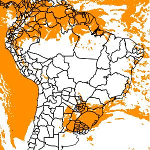 prognósticos dos modelos regional ETA 15 km (América do Sul) e Global