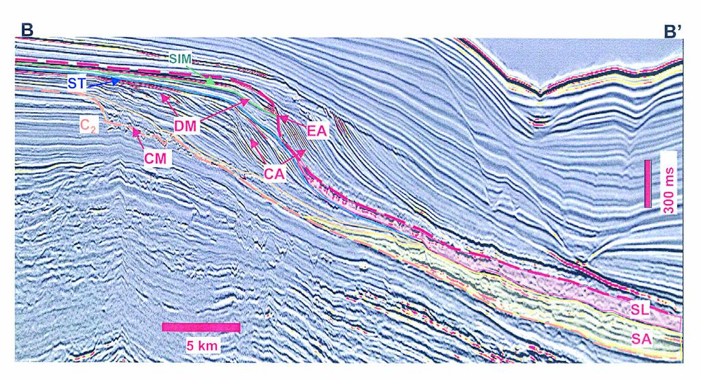 canais meandrantes (CM) Sistemas de canais meandrantes ocorrem dentro dos canyons submarinos (C1-C4) desde a plataforma até as porções distais da bacia (fig. 5).