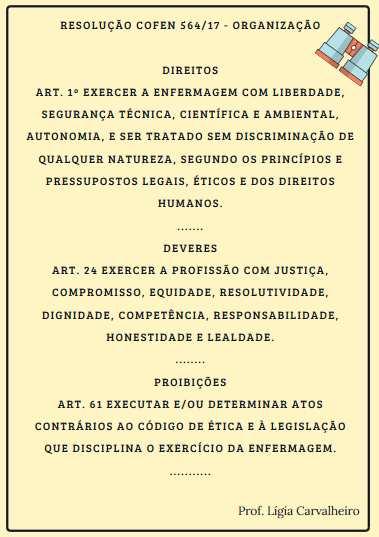 Observação importante! A aula sobre legislação profissional será postada na sequência desta, como aula extra para que o arquivo não fique muito longo e exaustivo. Boa aula!