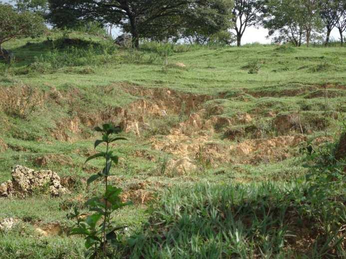 Fazenda Varjão Fotos d-1: Erosão