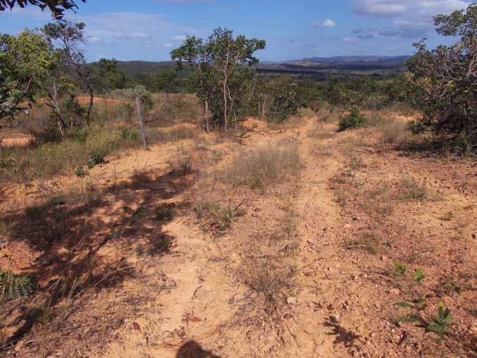 Fazenda Saco da Vida