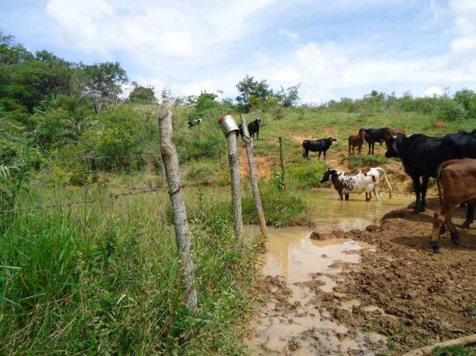 Área de preservação permanente a