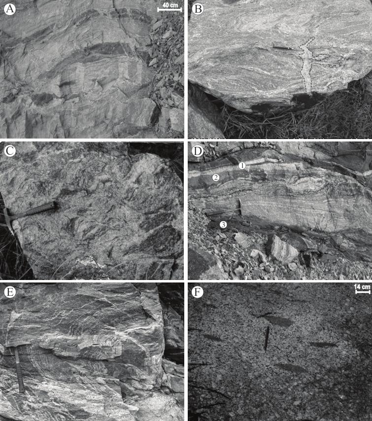 Geologia e litogeoquímica de rochas de alto grau metamórfico da porção sul do Complexo Guaxupé A 40 cm B C D 2 1 3 E F 14 cm Figura 3. Litotipos e estruturas de rochas da área de estudo.
