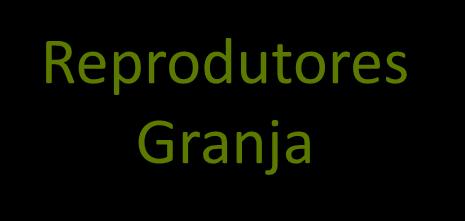 Sistema de produção integrada de suínos.