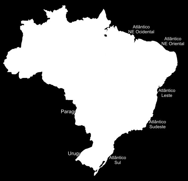 Bacias hidrográficas do Brasil O Brasil apresenta grande quantidade de rios, reunidos em conjuntos