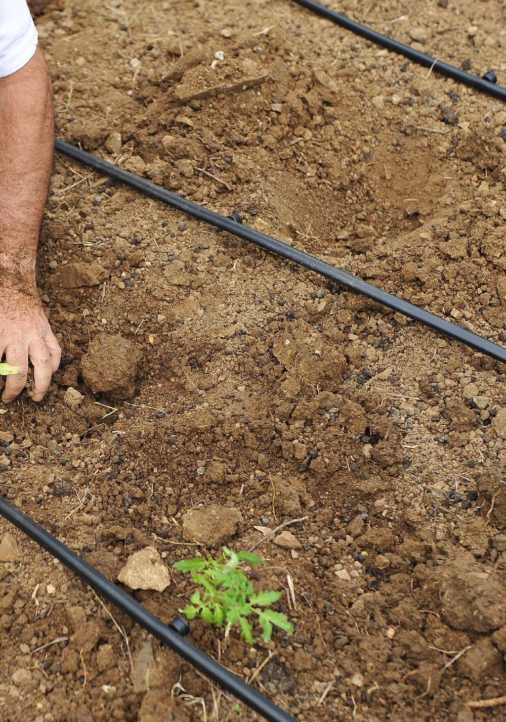 REGA LOCALIZADA, MICRO TUBO E ESTACAS DE FIXAÇÃO REGA LOCALIZADA 49 50 54 56 60 64 66 Kit alagador de raízes para enterrar Tubo