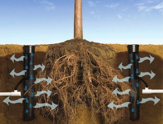 pré-instalado, grelha com fecho, joelho de ligação canelado e tubo flexível de 1/2. Rega e arejamento subterrâneo promovendo o crescimento radicular em profundidade.