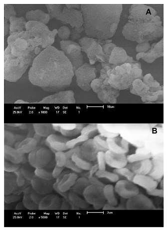 22/MCM-41 composite catalyst: Synthesis, Characterization and catalytic performance. Catalysis Communications 12 (2010) 95 99. BECK, J.S., VARTULLI, J.C., ROTH, W. J., LEONOWICZ, M.E.; KRESGE, C. T.