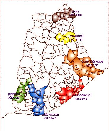 Área irrigada e métodos de irrigação no Estado do Ceará 63 Analisando-se os dados, observa-se que os estabelecimentos com menos de 00 ha apresentam a maior área irrigada do Estado (58.