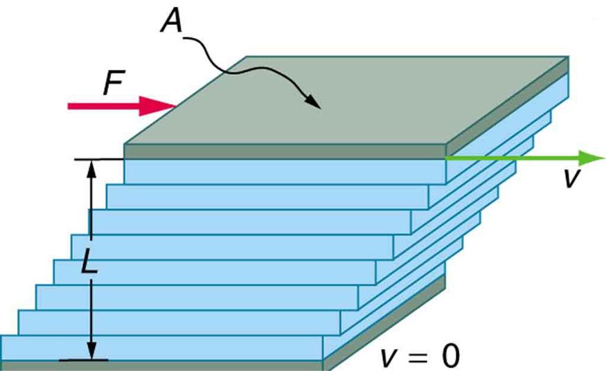 2. Viscosimetria A viscosidade é a propriedade dos fluidos que corresponde ao transporte microscópico de quantidade de movimento por difusão molecular.