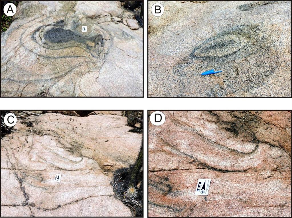 (A) Mafic enclave of diorite; (B) Features of mingling and mixing magmatic showing different magmatic compositions in chamber Flores stock.