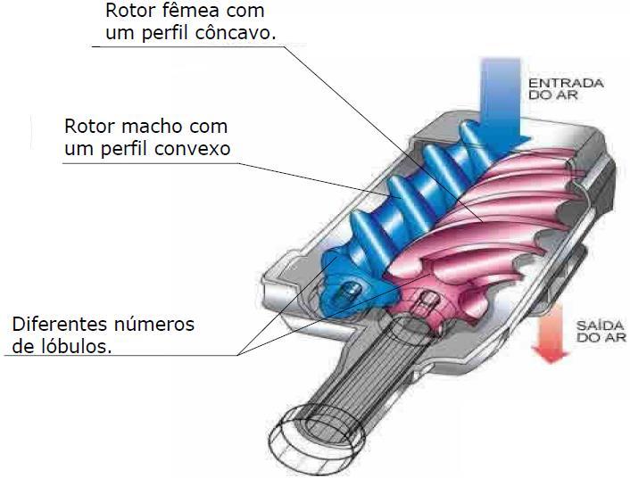 Compressores Volumétricos Compressor Rotativo de Parafuso Os rotores são constituídos por um macho e