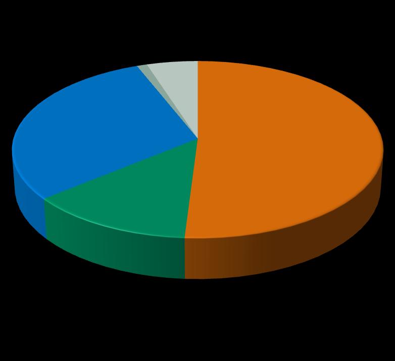 3 PORTFÓLIO DIVERSIFICADO Portfólio de negócios diversificado e com baixo risco Estrutura do LAJIDA (2009) 1% 5%