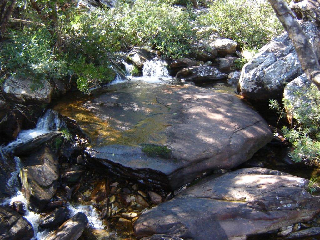 5) Estudo de caso: Padrões espaciais em riachos de cabeceira do Parque Nacional da Serra do Cipó (MG)