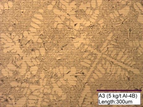 tamanho de grão da liga Al- 11Si-0,1Mg Figura 13 Microestrutura A3 5 kg/t Al-4B (50x) Figura 14 Microestrutura A4 7 kg/t Al-4B (50x) Tabela 6.