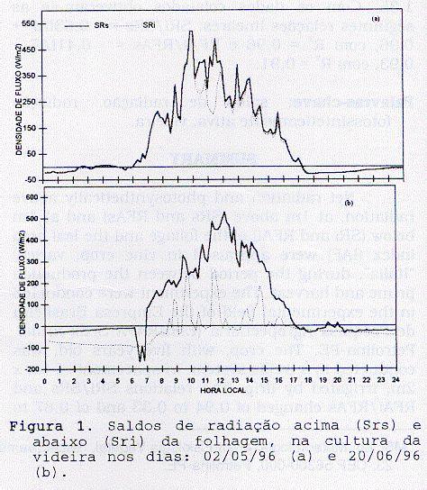 Sete dias após a poda a relação SRi/SRs apresentou o valor de 0,94, para logo depois (20 dias após a poda) apresentar o valor de 0,2 (Figura 2), quando atingiu o IAF = 0,92 (Figura 3).