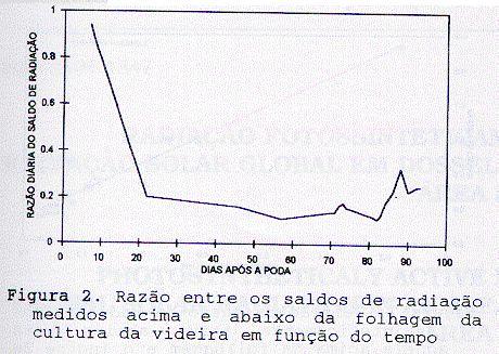 No entanto, observouse um ligeiro aumento da SRi/SRs, chegando a 0,33 (90 dias após a poda), devido ao ataque de ácaros nas folhas, que diminuiu o IAF, ocasionando uma maior penetração da radiação
