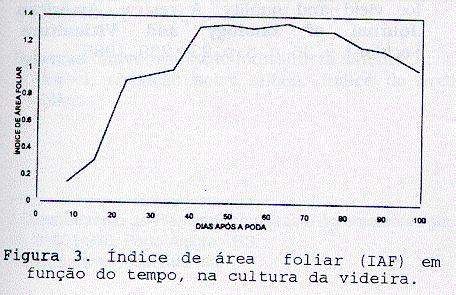 Relacionando-se os valores de IAF com os de SRi/SRs, obteve-se uma regressão linear SRI/SRs = - 0,63 IAF + 0,96 demonstrando uma relação negativa entre essas duas variáveis, com um R 2 =0,96 e nível