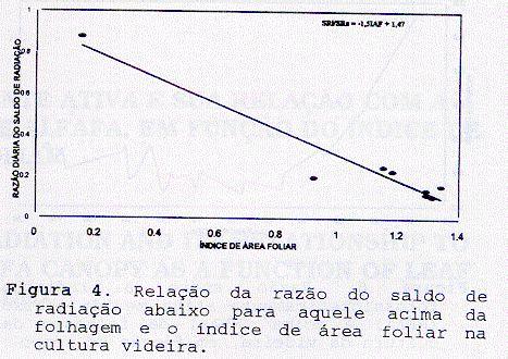 Pela Figura 6 observa-se o decréscimo da transmissão de RFA s até 60 dias após a poda, acompanhado com um aumento de IAF (Figura 3), quando a partir de então esses parâmetros tenderam