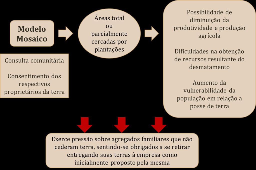 Figura 3: Implicações do modelo mosaico O modelo mosaico e as desvantagens que o acompanham exercem algum tipo de pressão 16 nos agregados familiares que não cederam terra até que estes se sintam