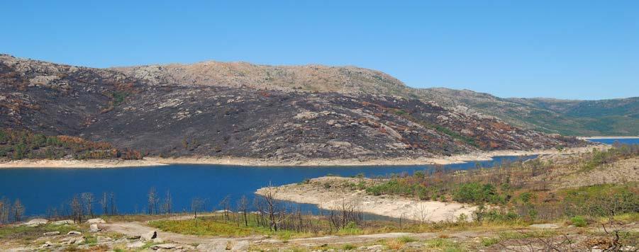 Relatório de Incêndios Rurais / Florestais na RNAP - 2010 Mancha de Pinheiro-silvestre autóctone, uma das relíquias do PNPG (6,1 ha), resinosas (31 ha) a restante área era ocupado por matos.