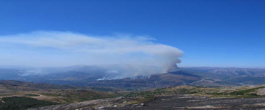 A ocupação de solo era a seguinte: Carvalhal (112,6 ha), povoamentos mistos de folhosas e resinosas (177,5 ha), outras folhosas (66,3 ha), resinosas (142,26 ha), área agrícola (25,28 ha) a restante