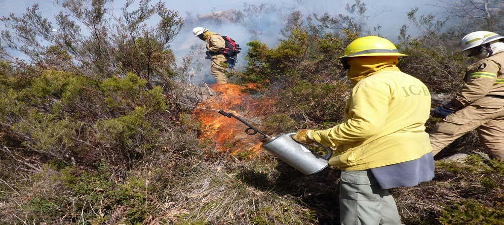 Relatório de Incêndios Rurais / Florestais na RNAP - 2010 8 - Fogo Controlado na Rede Nacional das Áreas Protegidas O fogo controlado revelou-se em algumas APs como a técnica mais eficaz na redução