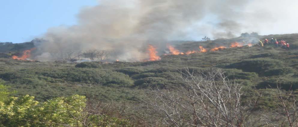 No que respeita ao número de incêndios, o valor de 2010 (368) é inferior à média dos últimos 5 anos (558).