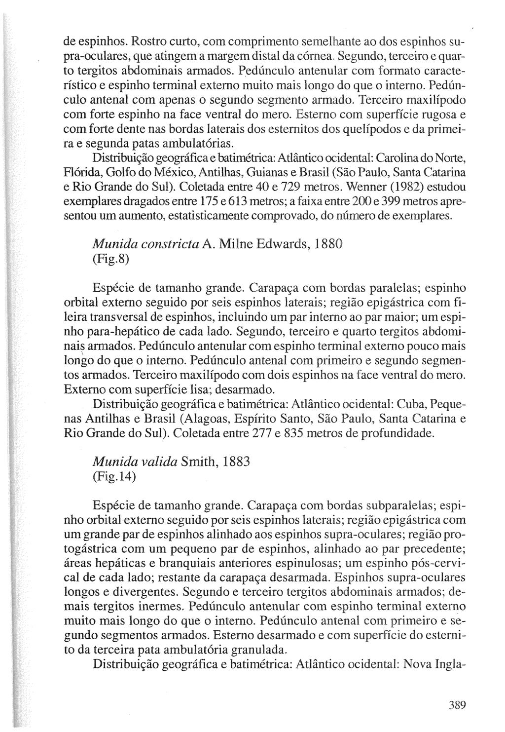 de espinhos. Rostro curto, com comprimento semelhante ao dos espimhos supra-oculares, que atingem a margem distal da córnea. Segundo, terceiro e quarto tergitos abdominais armados.