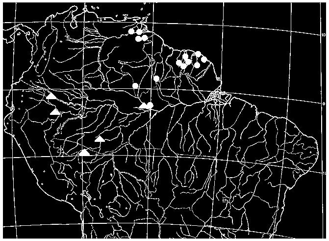 Distribution Patterns Manaus - 41% limite de