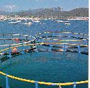 Porto Internacional (porto lisboa) Fonte: http://upload.wikimedia.