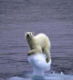 Implica o degelo das calotes polares o que leva à subida do nível médio das