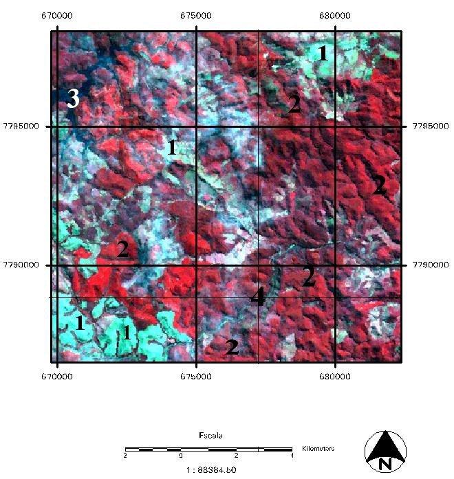 (c) 1 Solo exposto 2 Eucaliptos em idades de plantios diferentes 3 Represa do Peti 4 Torre Climatológica do Gaspar (CENIBRA S/A)