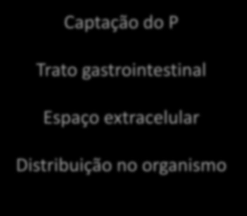 -> Osso e m.extracel. Espaço extracelular Trocas -> M.intrac.