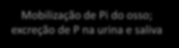 Fósforo Catecolaminas Liberação do PTH Stress,