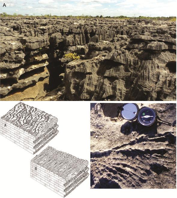 A IMPORTÂNCIA DO CONTROLE TECTÔNICO PARA A FORMAÇÃO DA PAISAGEM CÁRSTICA NA BACIA POTIGUAR, NORDESTE DO BRASIL turado e poroso, como é o caso da Formação Jandaíra, as novas superfícies criadas a