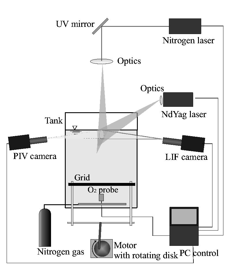 Air-Water Interface